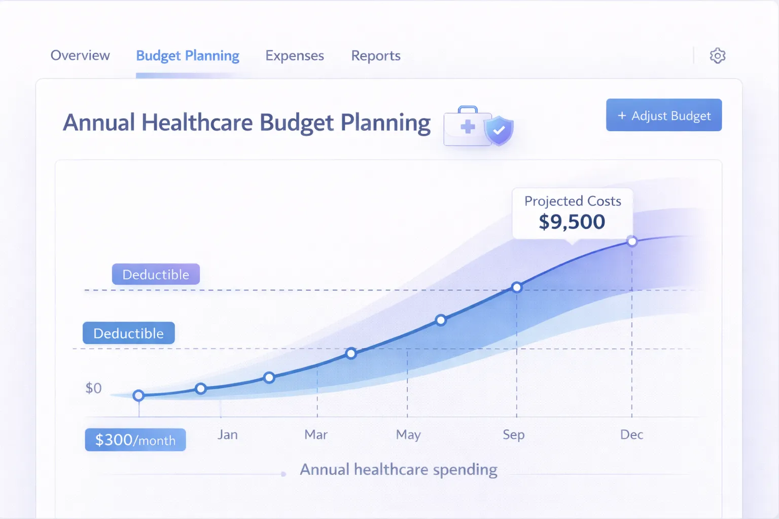 Healthcare Budget Planning Guide